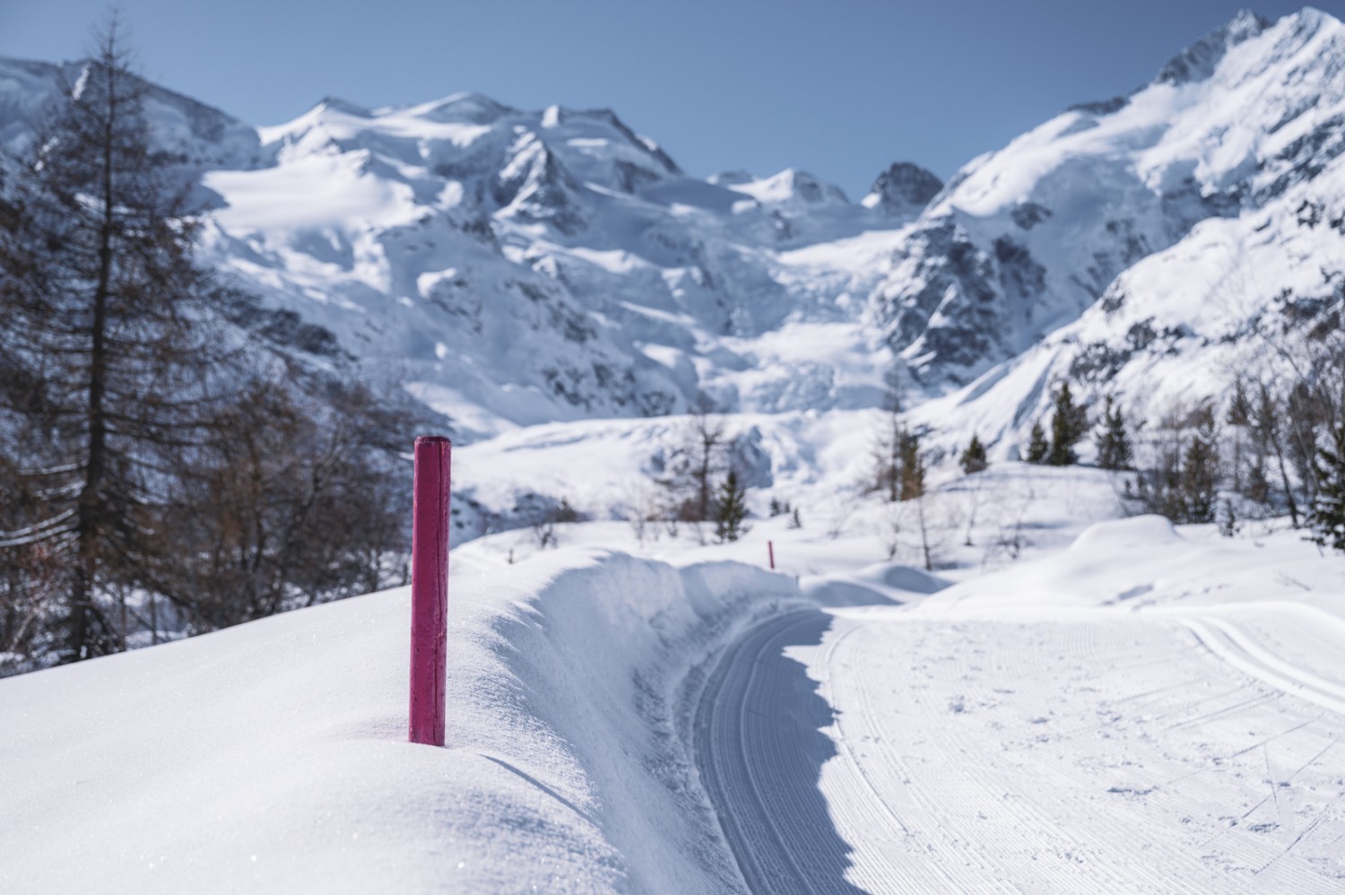 Cette randonnée emprunte le chemin de randonnée hivernale damé et signalisé par des balises roses. Photo: Jon Guler
