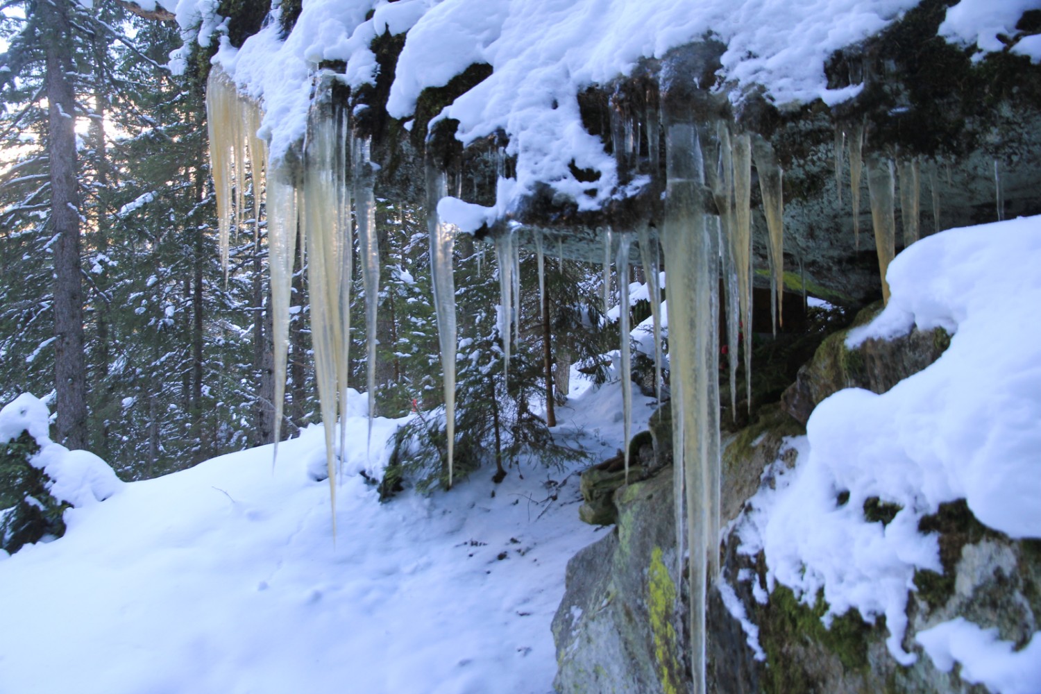 Des stalactites de glace évoquent la mâchoire d’une baleine. Photo: Elsbeth Flüeler