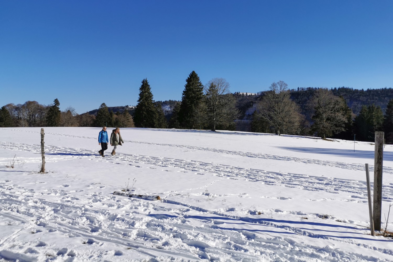 En chemin vers le Bison Ranch, avec en arrière-plan le Mont Sujet.