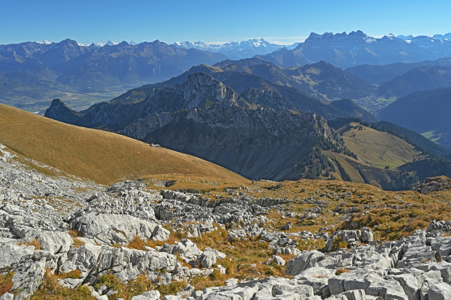 La vue est vaste depuis le Chablais sur les montagnes. Ici, les Dents du Midi. Photo: natur-welten.ch