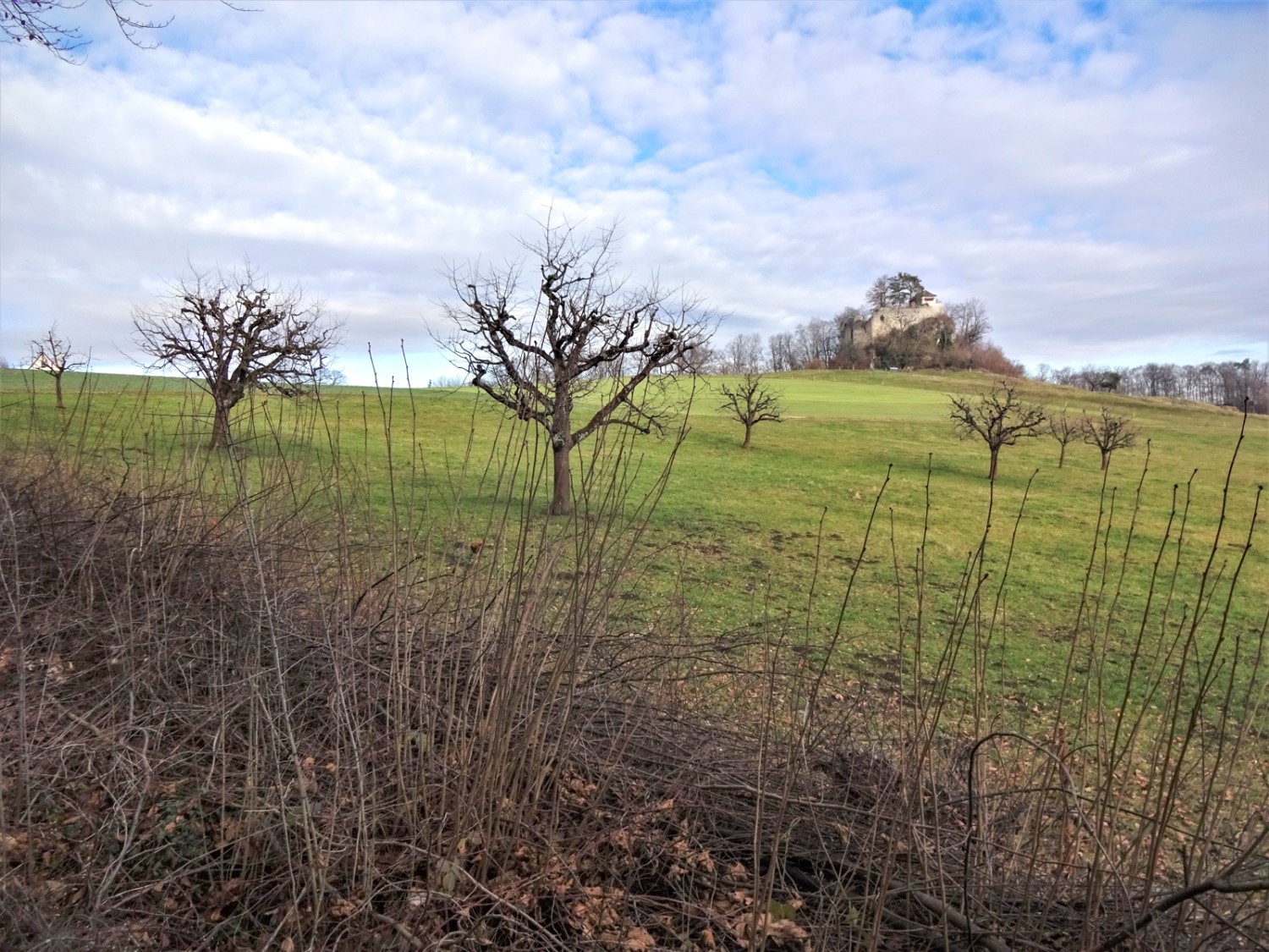 Les ruines de l’ancien château Neu Schauenburg trônent sur la colline. Photo : Miroslaw Halaba