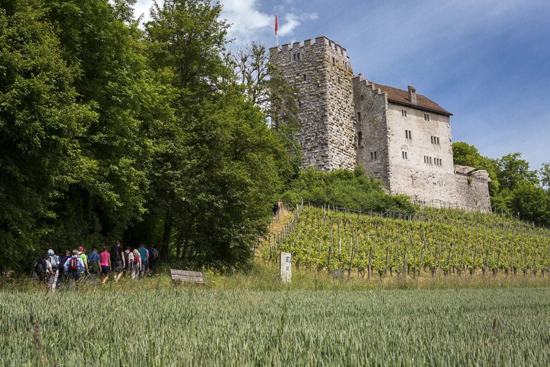 Le château de Habsburg, berceau de la dynastie des Habsbourg. Photo: Association «Les Châteaux suisses»