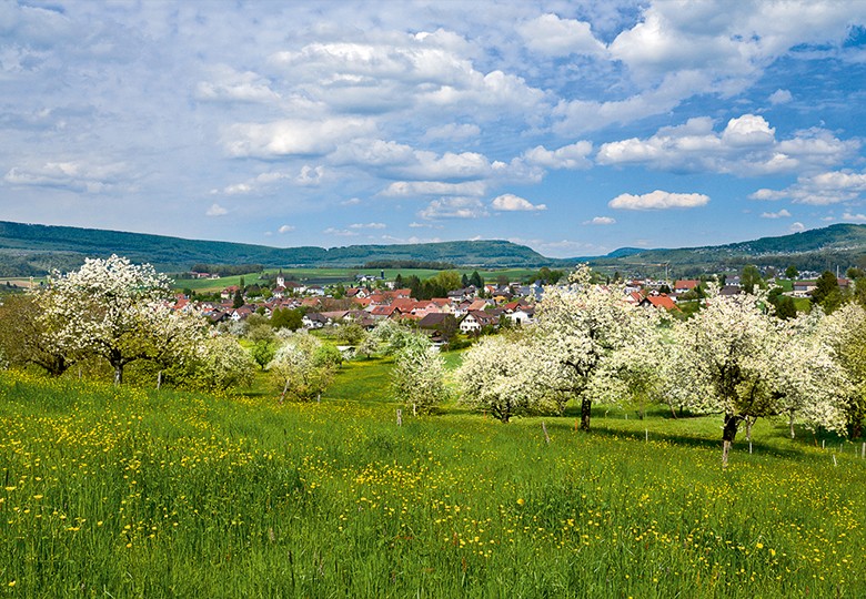 Au cœur du Laufonnais, au cœur du printemps: le village de Brislach.
