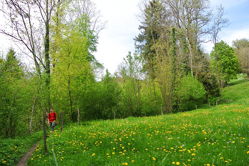 Le sentier longe toujours le Talent. Photo: Rémy Kappeler