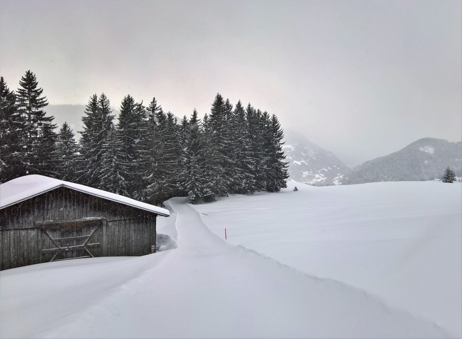 Prau Tgierv, au-dessus de Brigels.