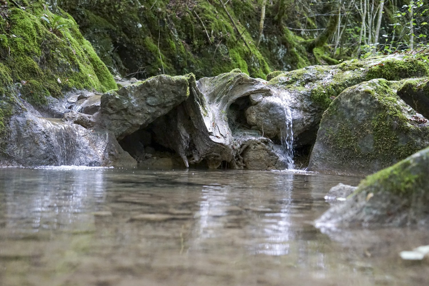 La charmante rivière La Chalière a sculpté les gorges de Perrefitte. Photo : Reto Wissmann