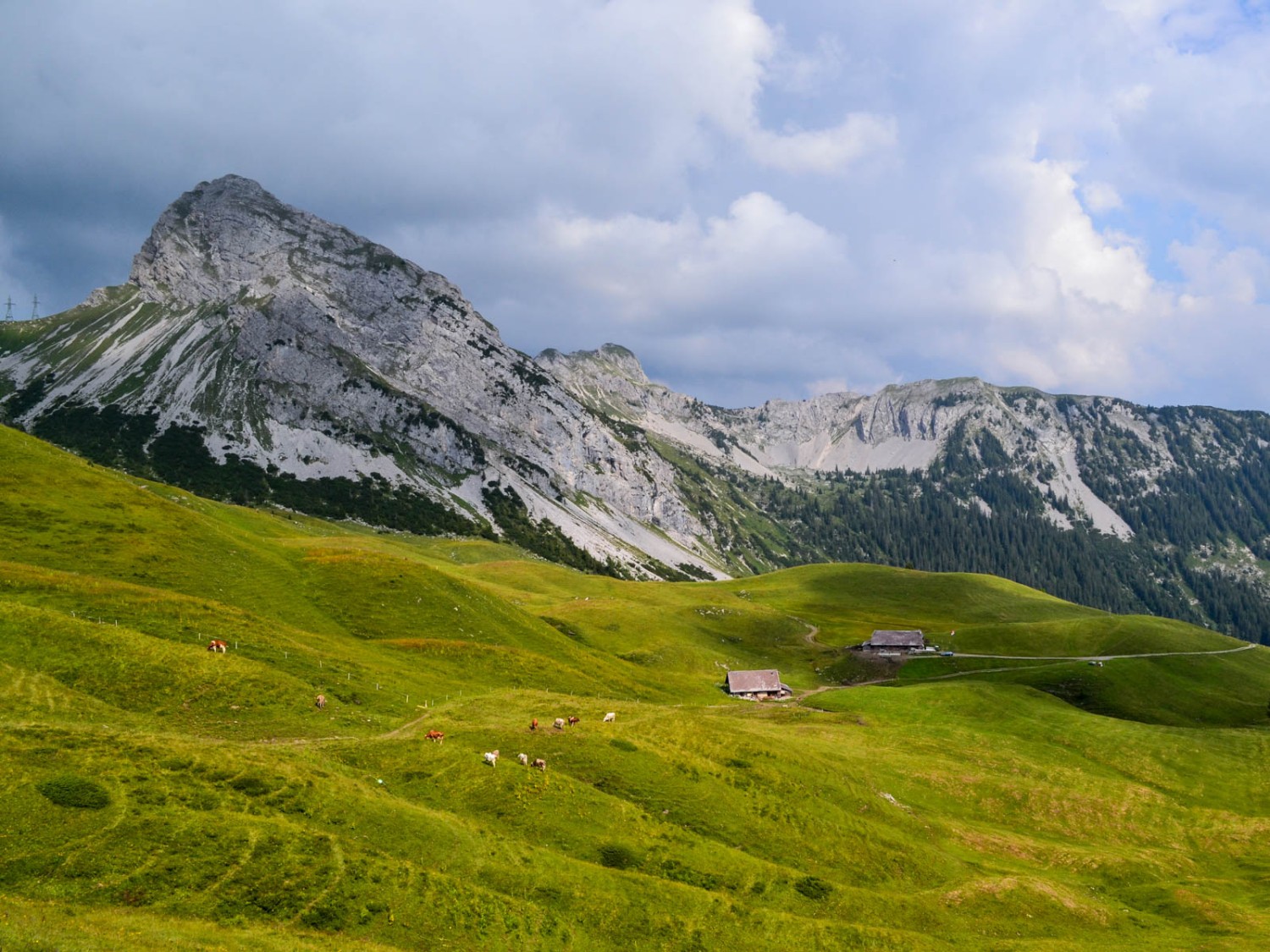 Vue sur le Rossflue et le Schafnase à droite depuis la crête de Dundelegg. Photo: Sabine Joss