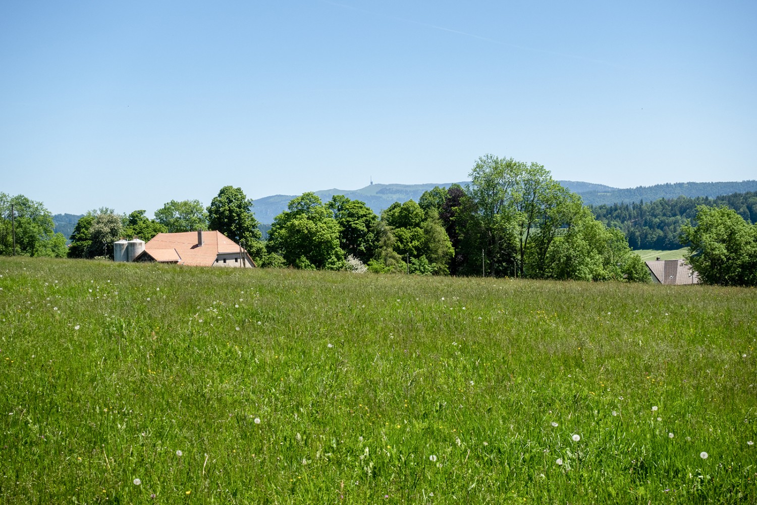 D’une élévation proche de La Chaux-de-Fonds, la vue porte jusqu’au Chasseral.