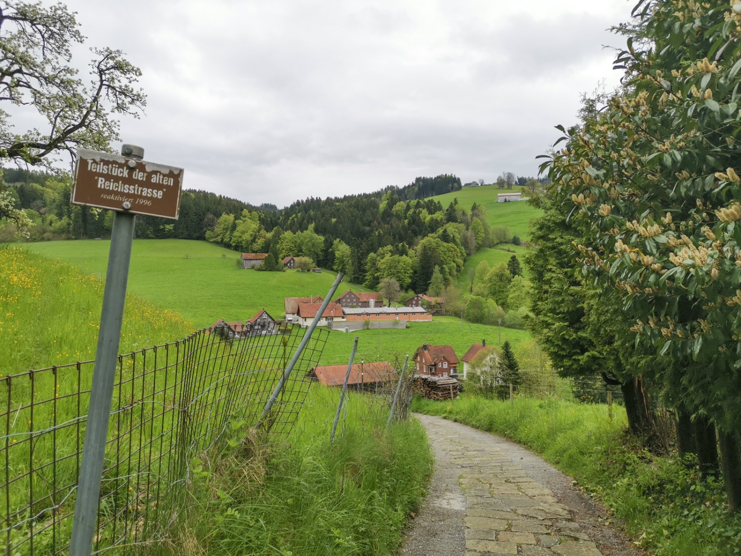 Entraînement dans l’avant-pays appenzellois 