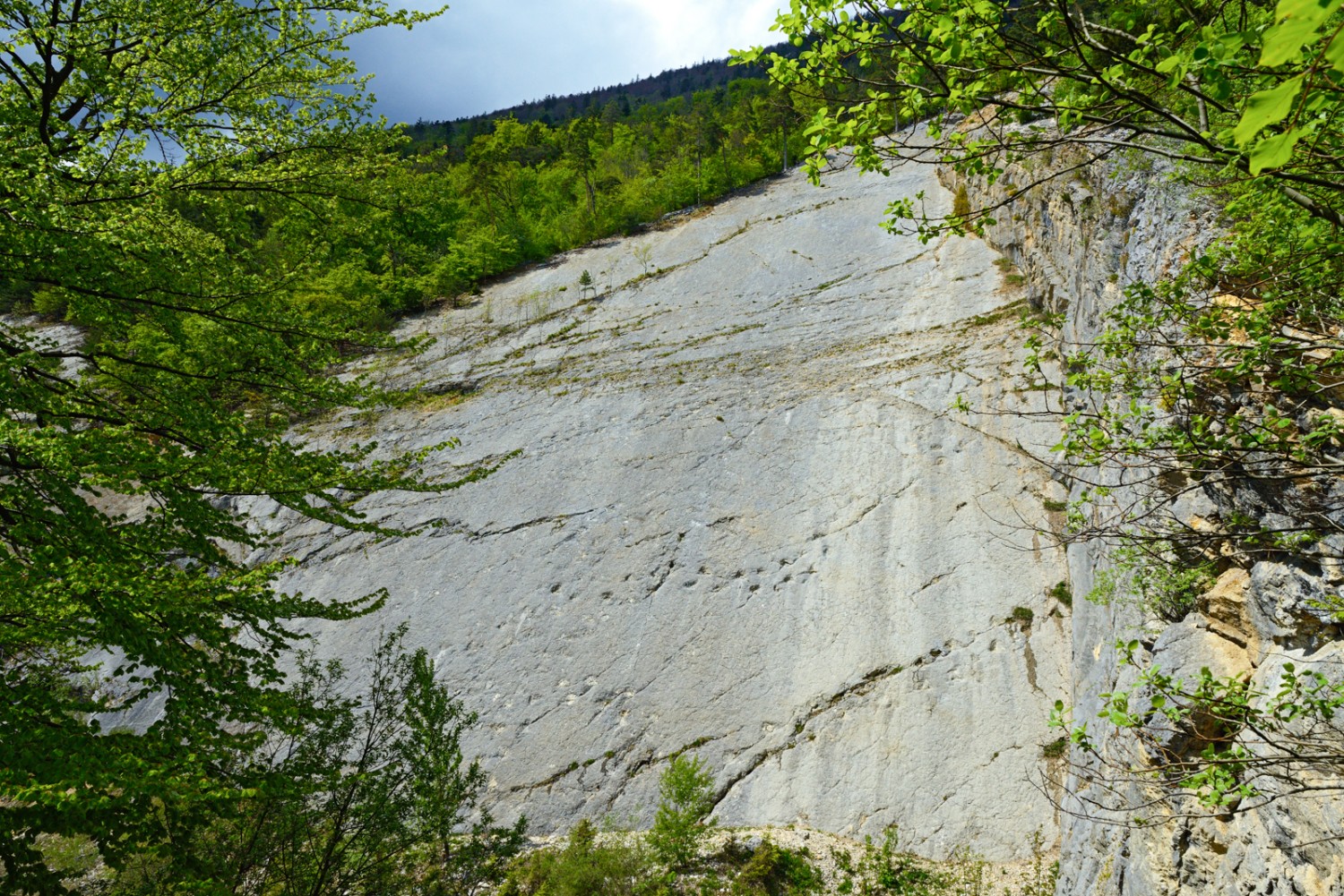 Dans l’ancienne carrière de Lommiswil, des traces de dinosaures ont été préservées. Photo: natur-welten.ch