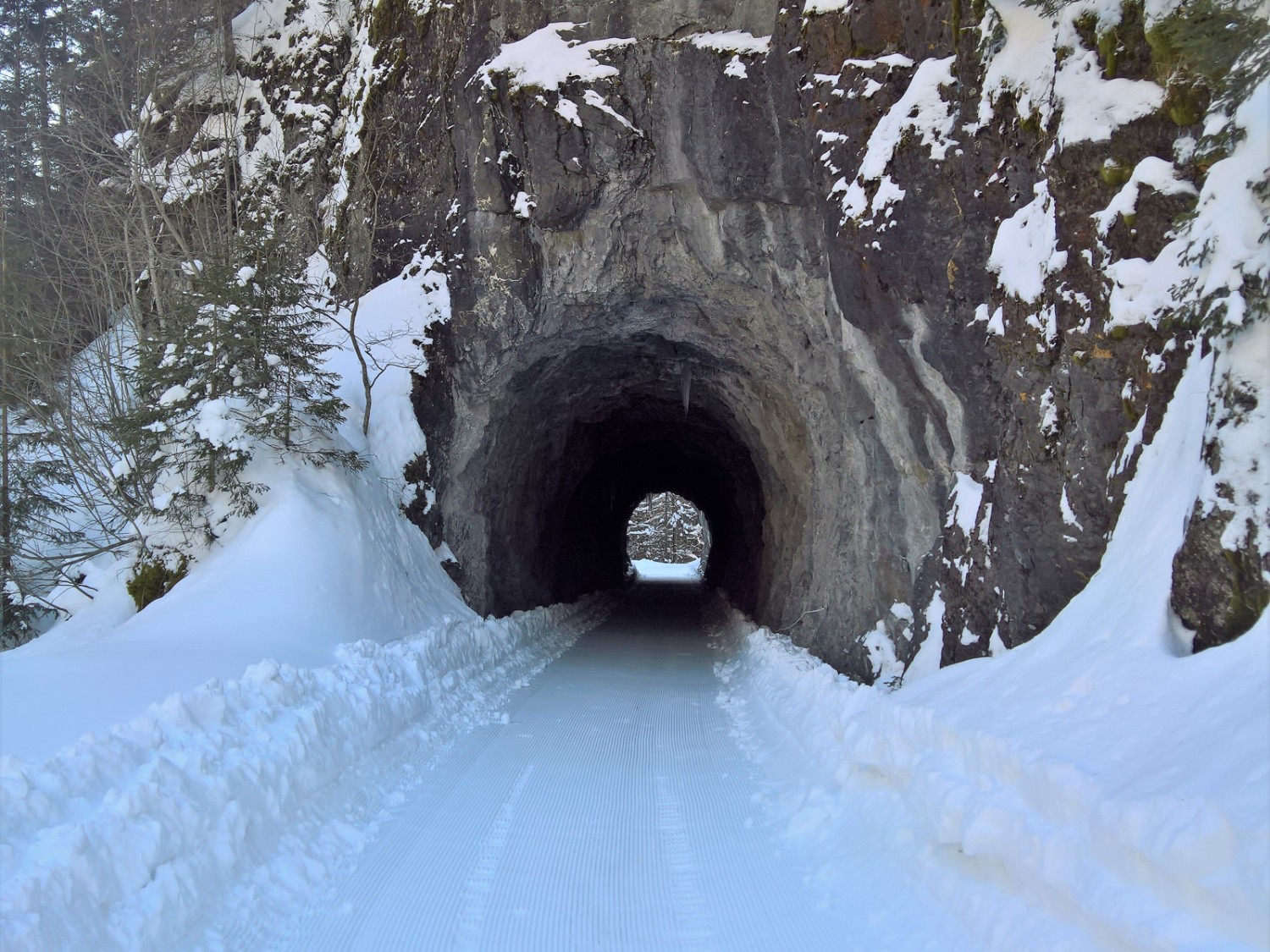 Le petit tunnel sous la colline de Rufenenhubel. Photo: Andreas Staeger

