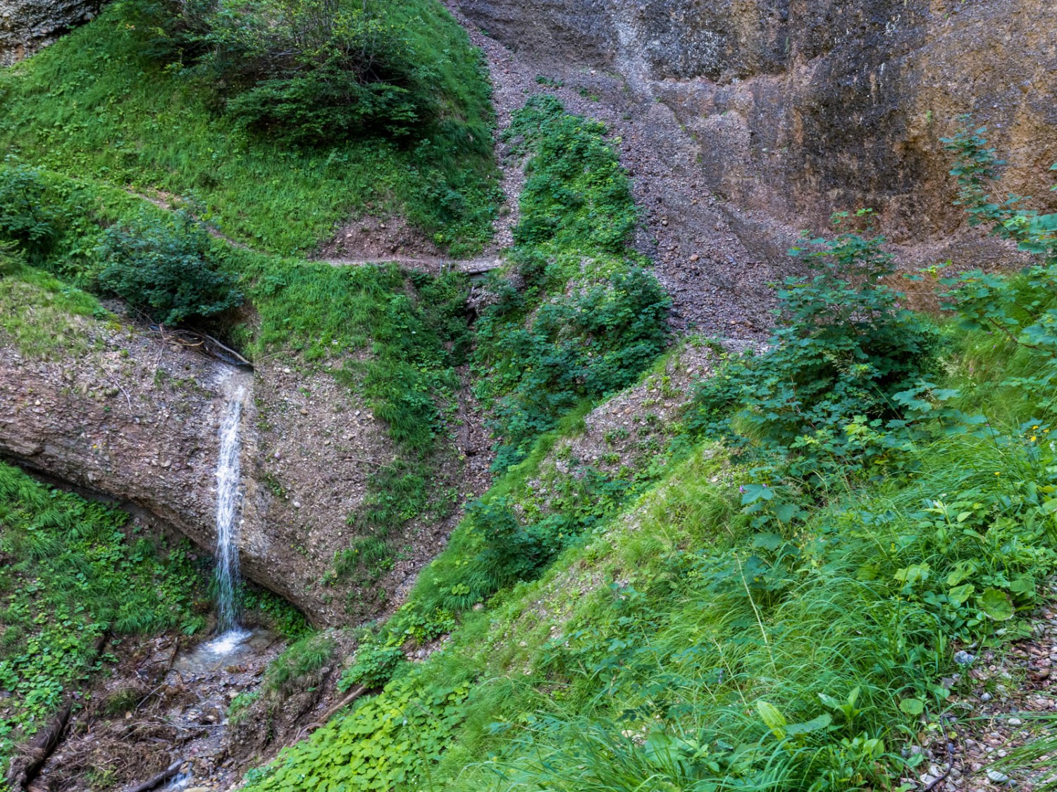 À la source du Necker. Photo: Daniel Fleuti
