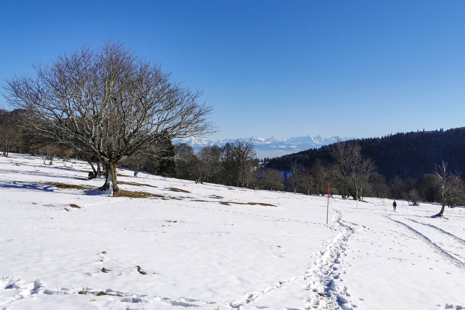 En montant vers la Place Centrale, la vue s’ouvre sur les Alpes. Photo: Andreas Staeger