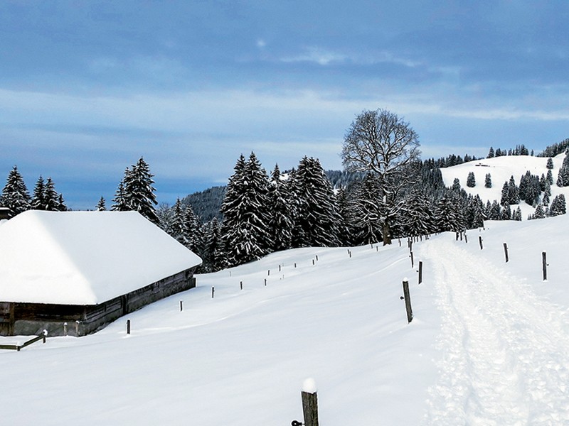 Le chalet des Petites Preises sur le chemin vers Les Guedères. Photo: Andreas Staeger