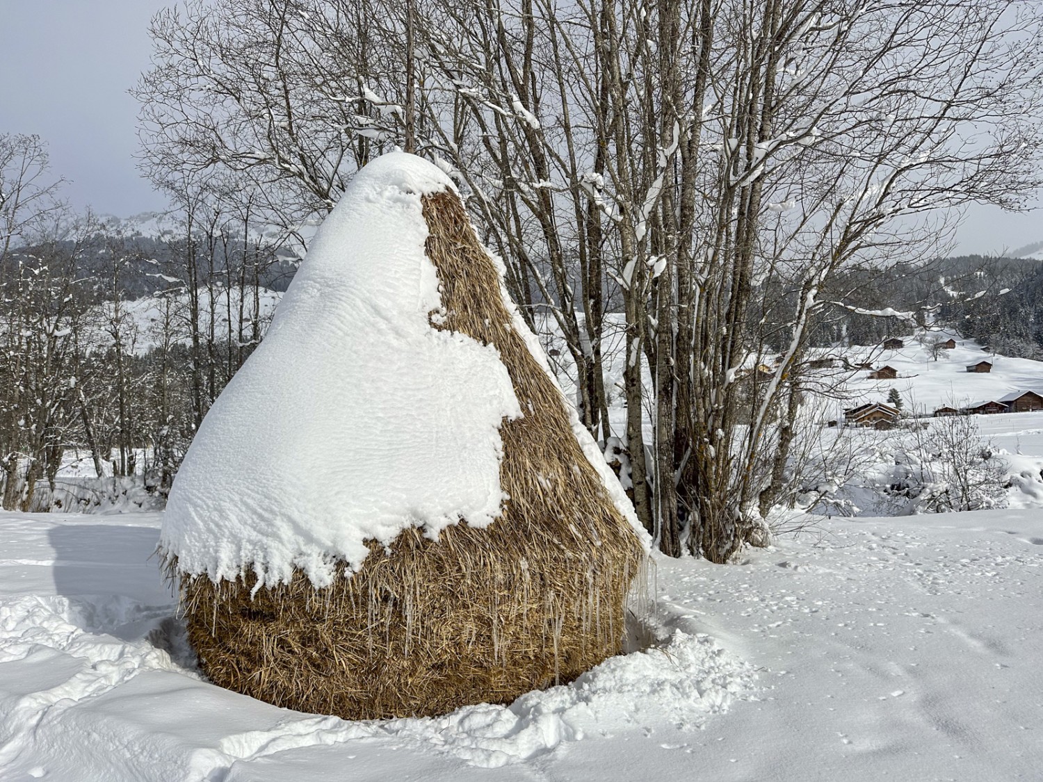 Hiver idyllique près de Gstaad