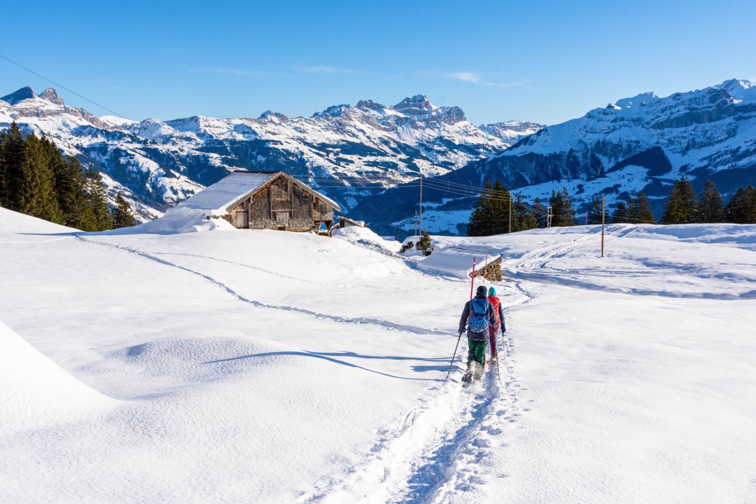 Cette randonnée en raquettes offre de superbes panoramas, comme ici sur le Schächentaler Windgällen. Photo: Franz Ulrich