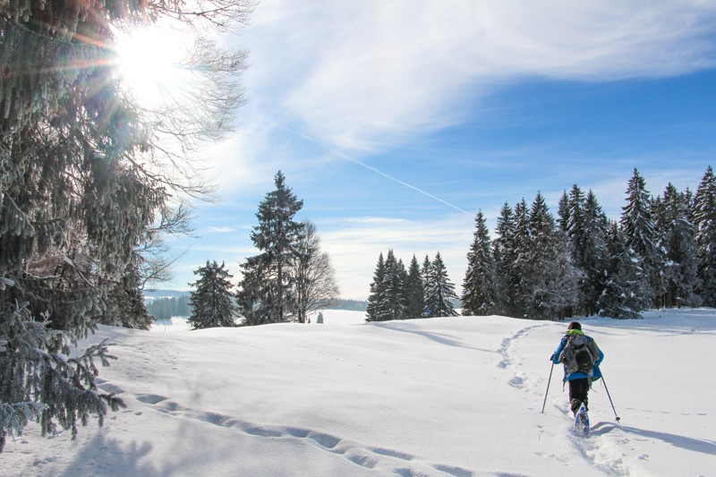 En raquettes à travers d'un pâturage typique du Jura. Photo: Alexandra Blatter