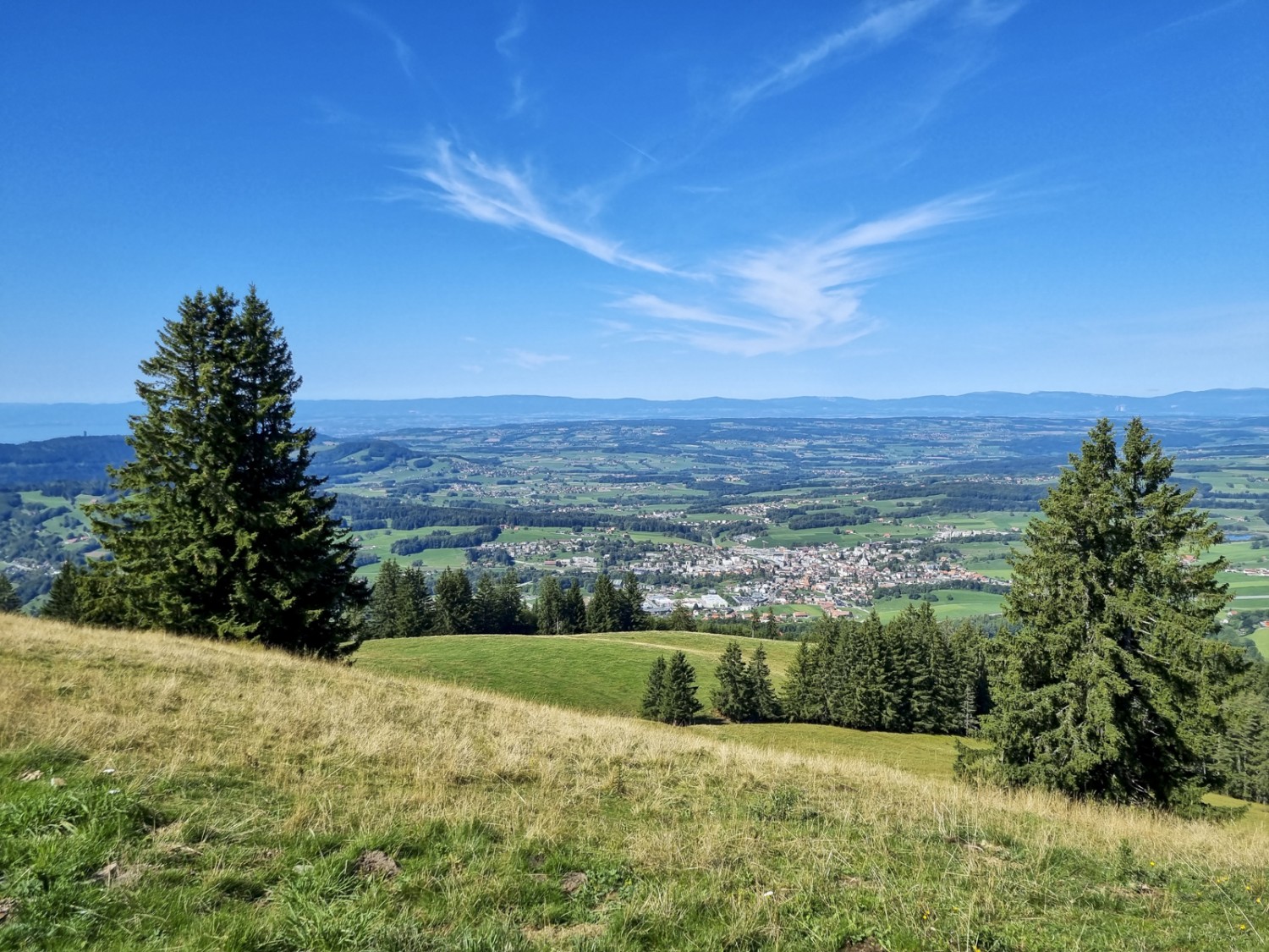 Peu avant le point culminant de la randonnée, vue panoramique sur la région située entre le lac de Neuchâtel et le Léman. Photo: Nathalie Stöckli