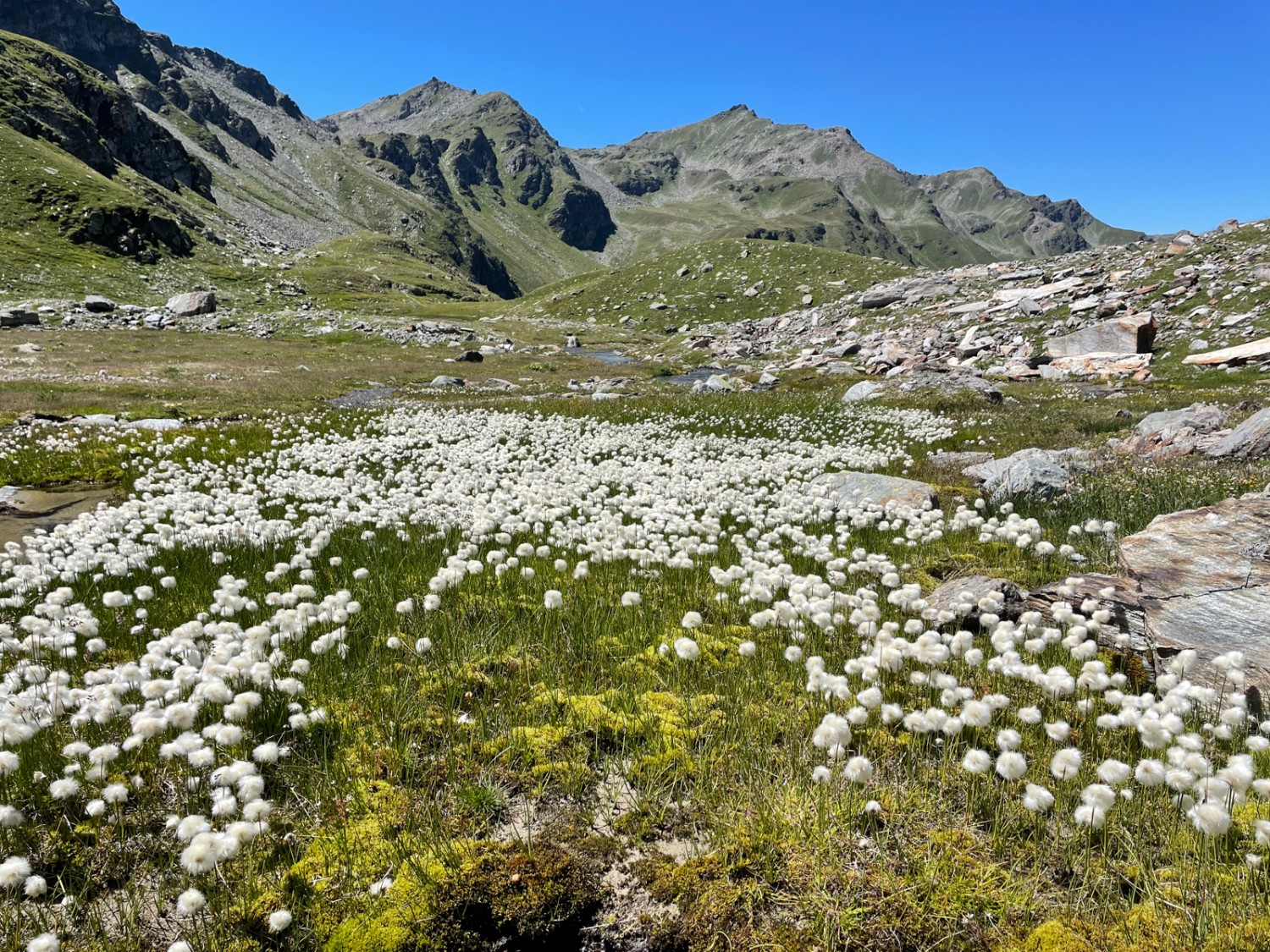 Obers Fulmoos est l’endroit parfait pour paresser. Photo: Rémy Kappeler