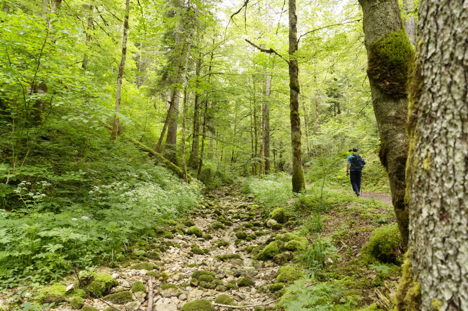 Zu Beginn des Weges geht man am ausgetrockneten Bach Breuil entlang. Photo: Raja Läubli