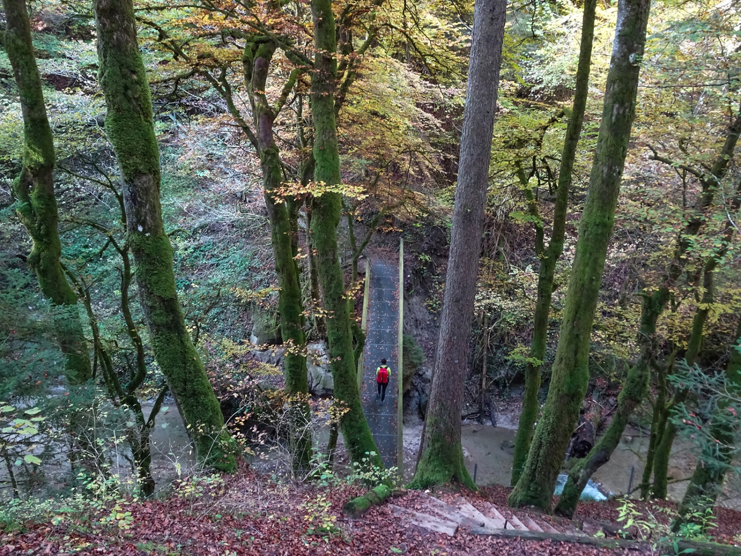 Über Treppen und Brücken führt der Wanderweg durch den Galterengraben. Bild: Sabine Joss