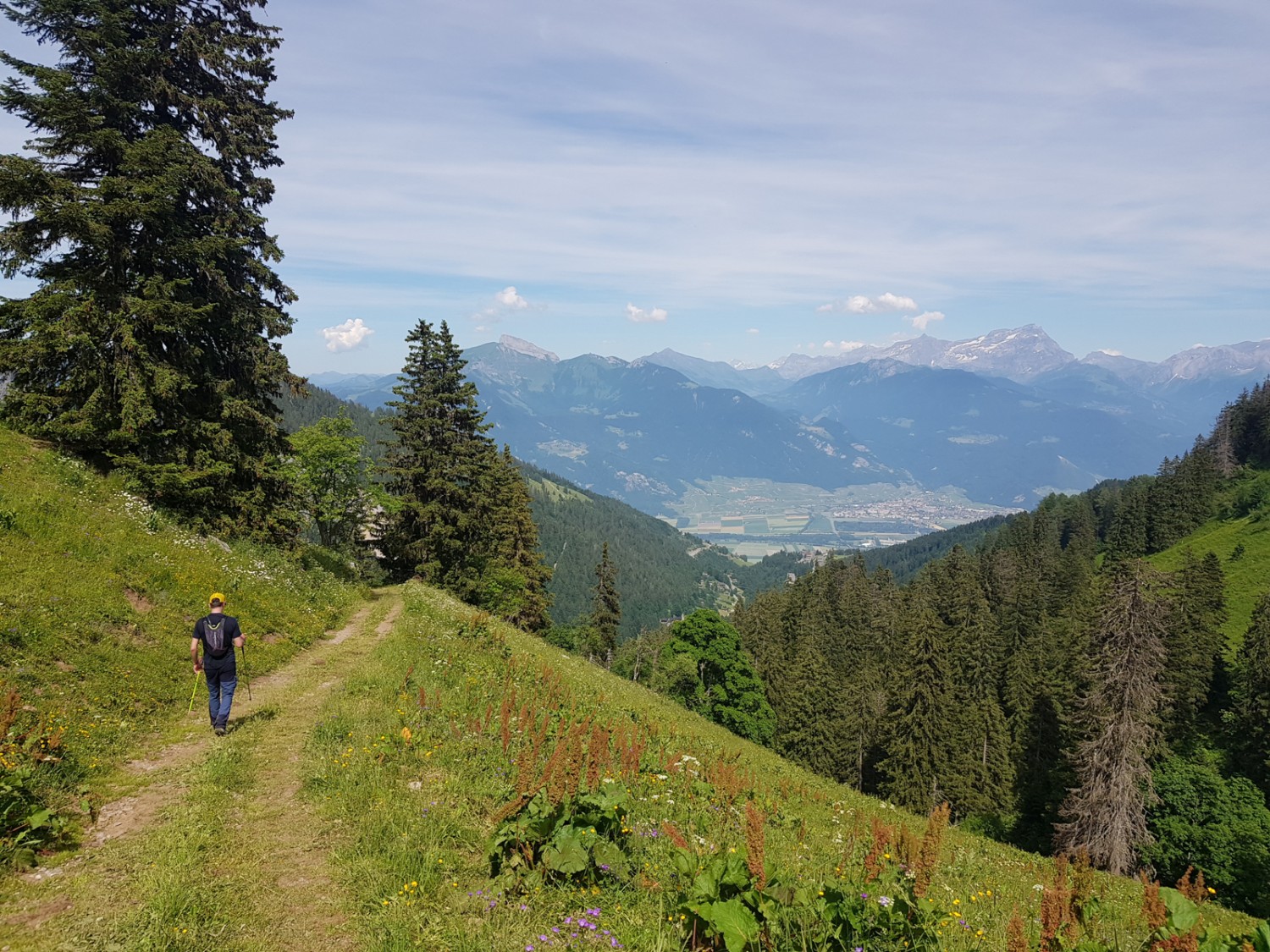 Nouvellement balisé, le Sentier des alpages de Vionnaz est aussi confortable que bucolique. Photo: Patricia Michaud