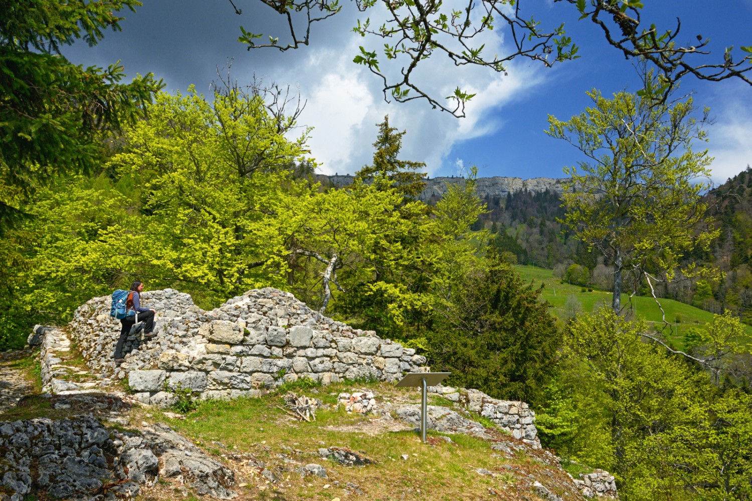 Les ruines du château de Grenchen se trouvent un peu à l’écart du chemin. Photo: natur-welten.ch