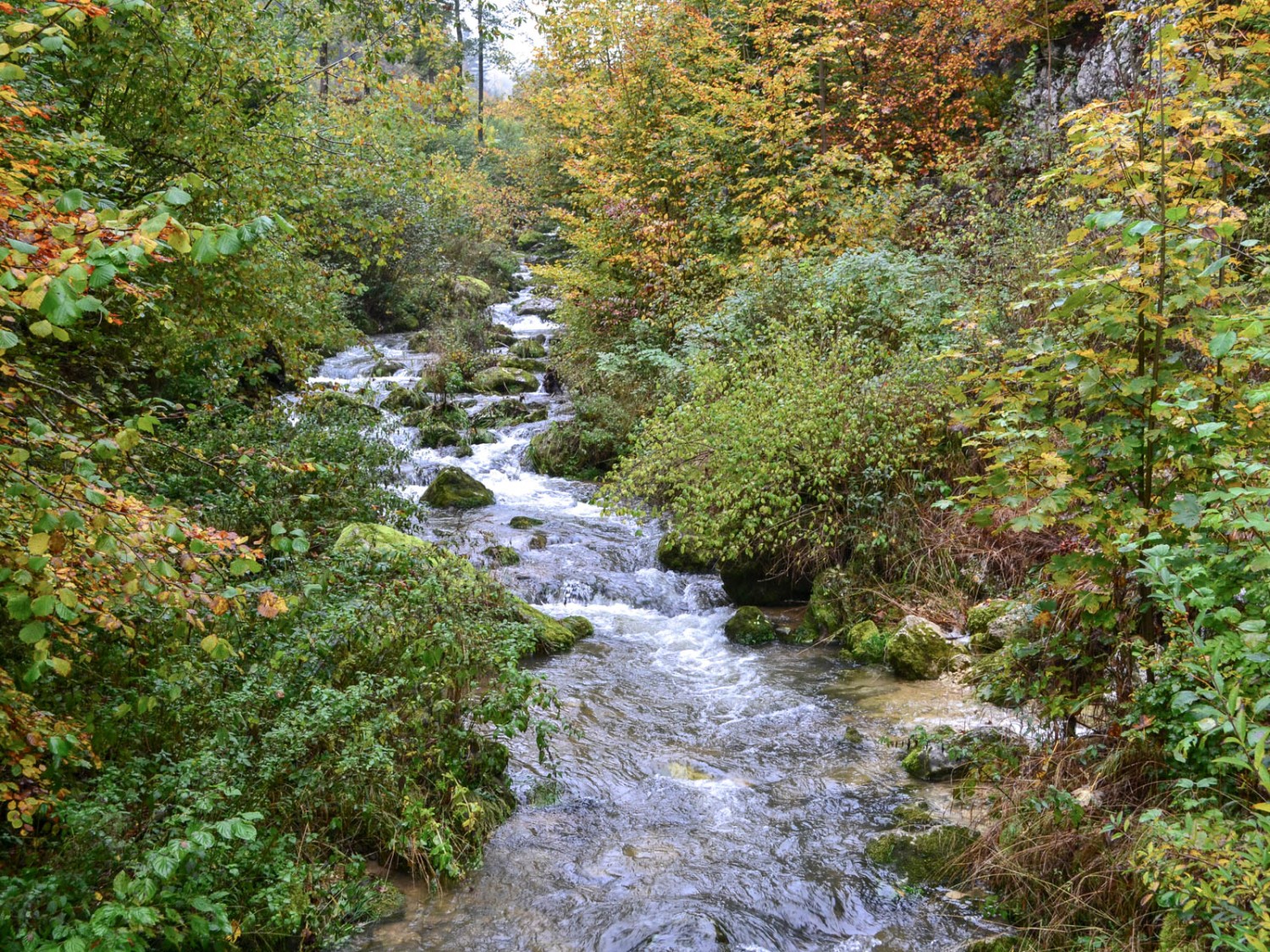 La rivière Dünnern, à la sortie des gorges de la Wolfsschlucht. Photo: Sabine Joss
