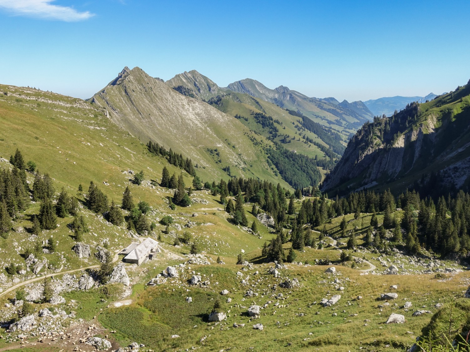 Une nature pure et verdoyante. Photo : Lauriane Clément
