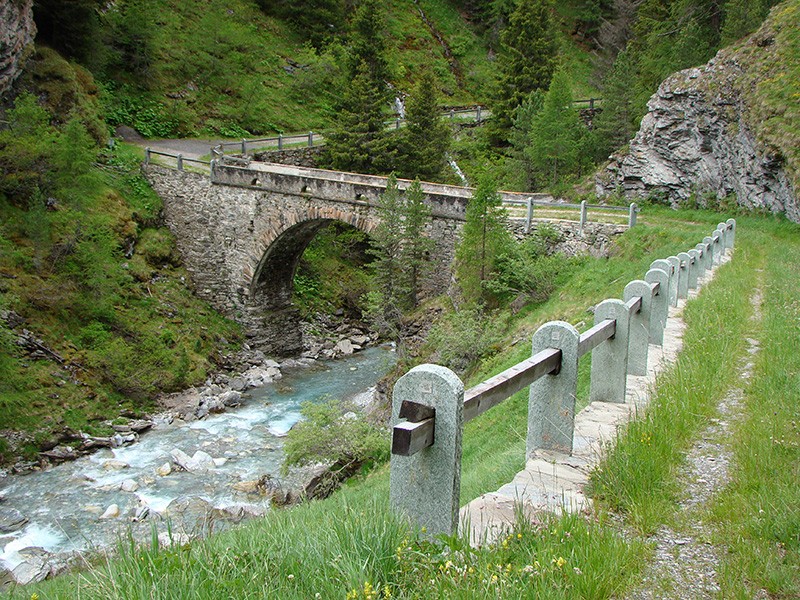 Die Wanderung führt über die Crester Rheinbrücke unterhalb von Cresta.
Bild: Evelyne Zaugg