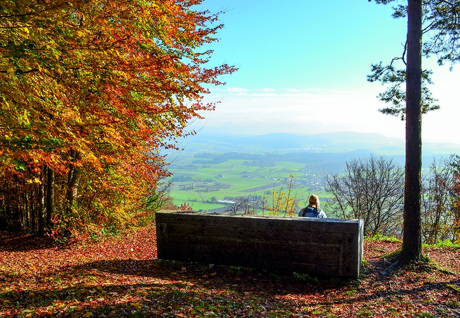 Tout un groupe de randonneurs pourrait s’asseoir sur ce banc, à l’Imebärg. Photos: Sabine Joss