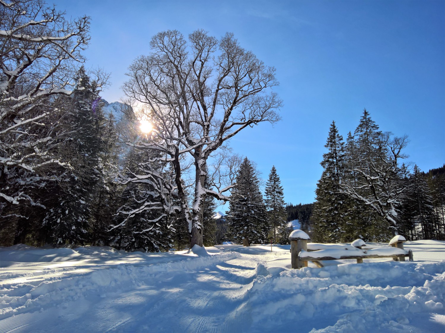 Ambiance hivernale dans la vallée de Rosenlaui. Photo: Andreas Staeger