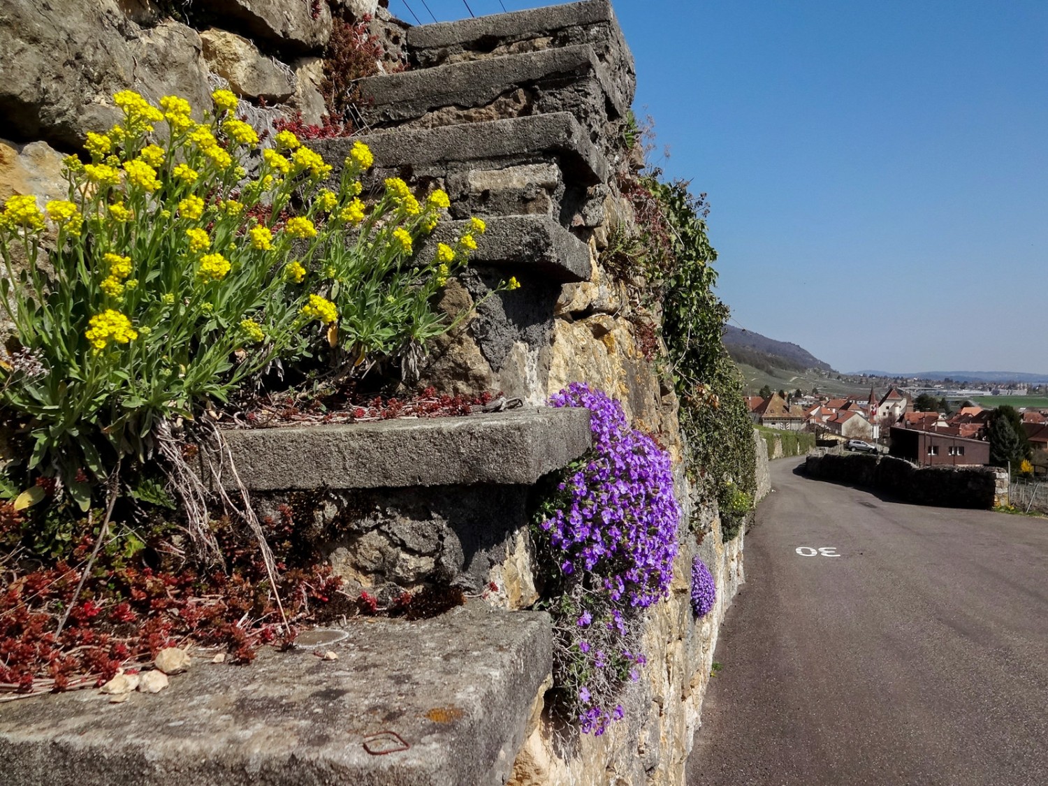 Cressier est notamment connu pour son château et ses maisons en pierres d’Hauterive. Photo: Miroslaw Halaba