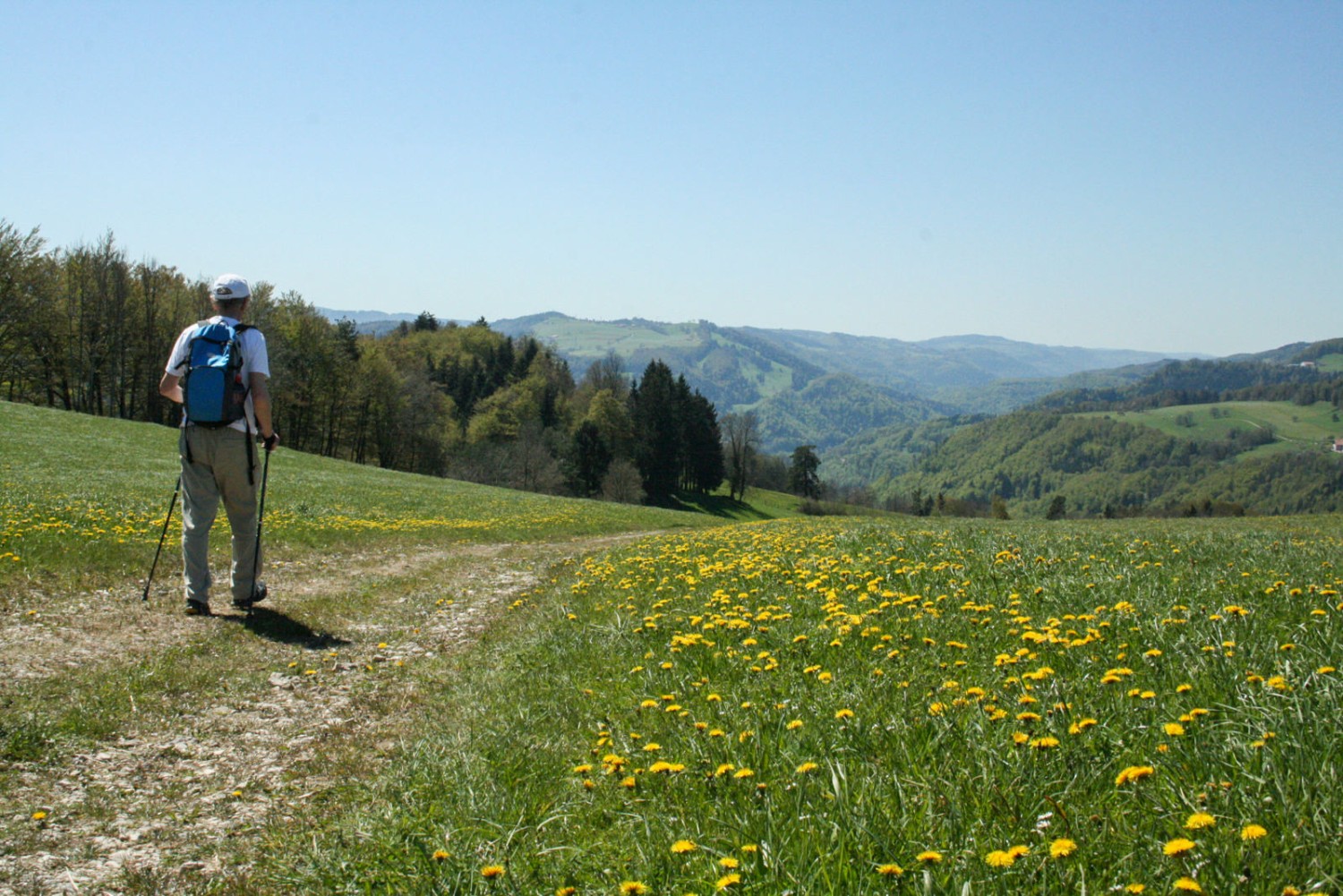 Après le lieu-dit Roc de l’Autel, on entame la descente vers Saint-Ursanne. Photos: Camille Tissot