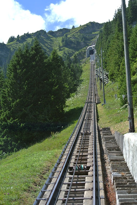 Le plus long escalier du monde. Photo: Rémy Kappeler