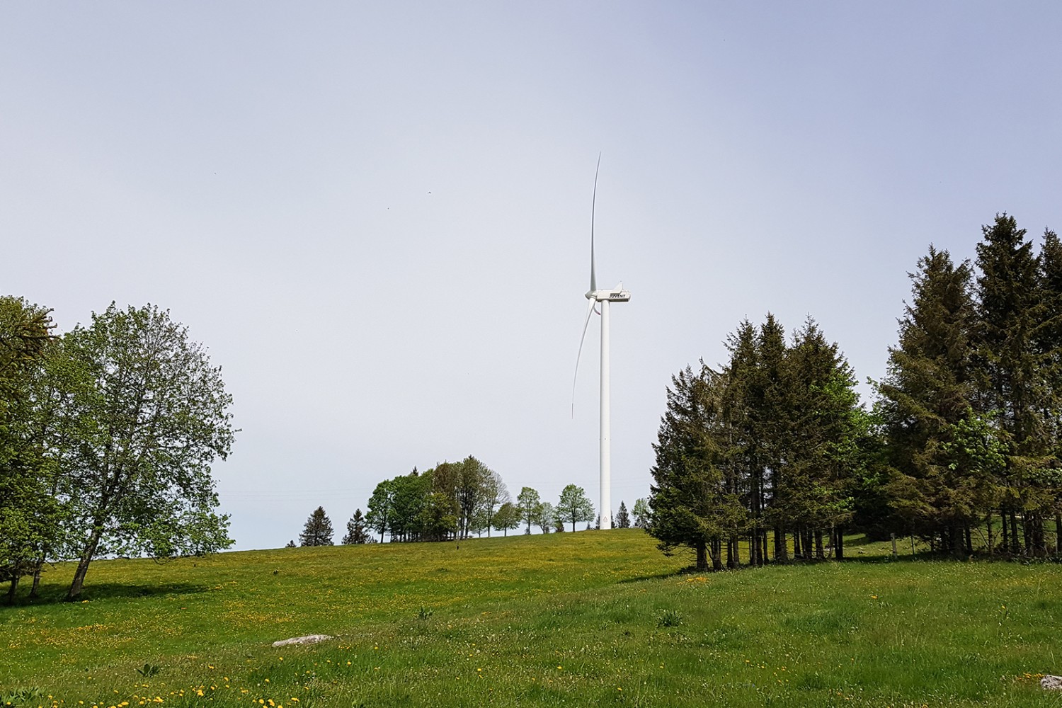 Die imposanten Windturbinen sind höher als das Berner Münster oder der Prime Tower. Bilder: Nathalie Stöckli