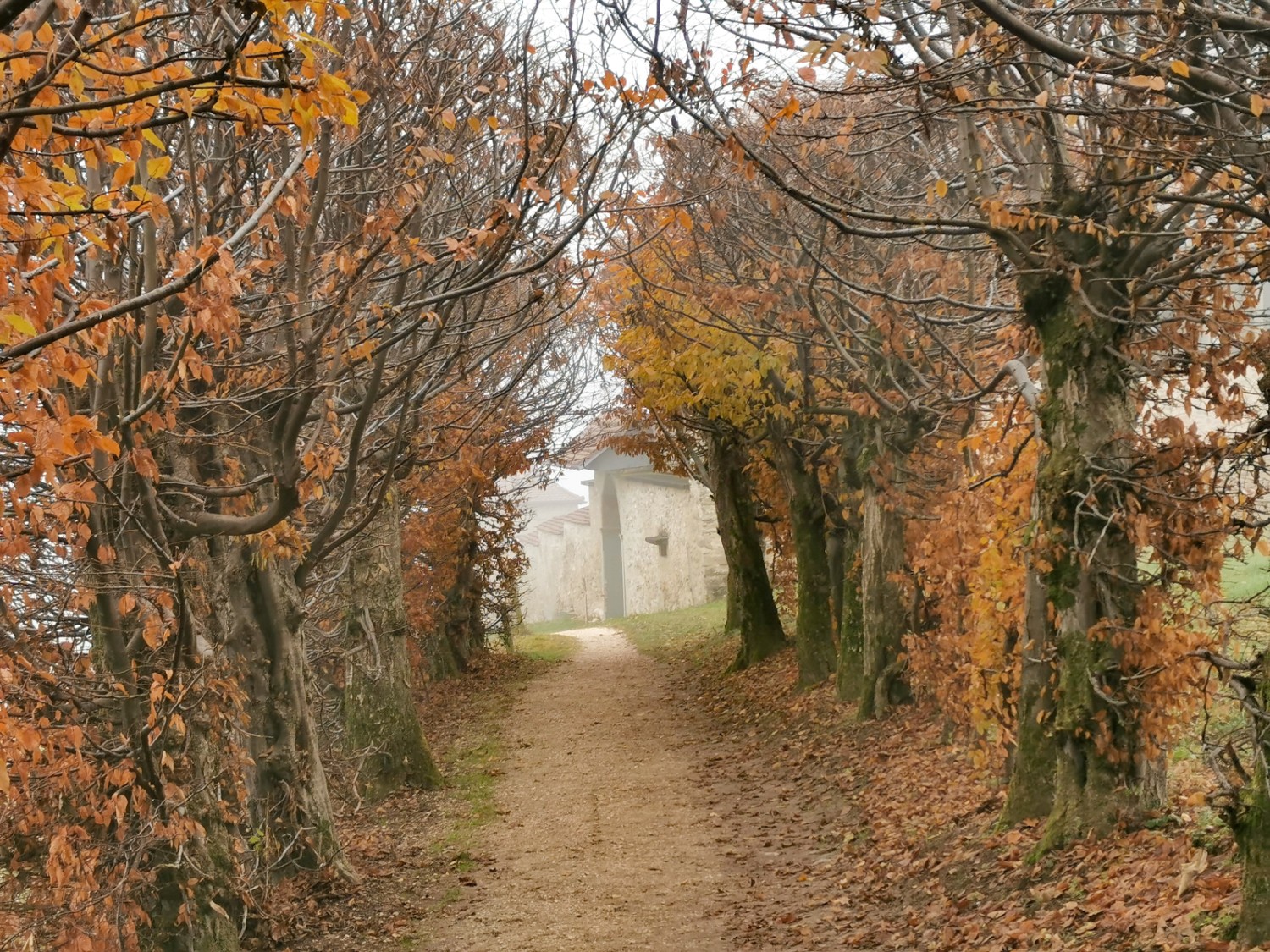 Chemin creux en contrebas du château de Kastelen.