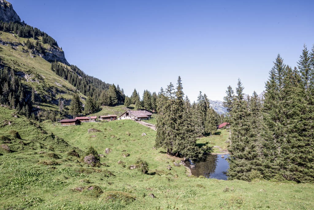 Dernier alpage de la journée: Sousläger. Vente de fromage incluse.  Photo: Daniel Fleuti