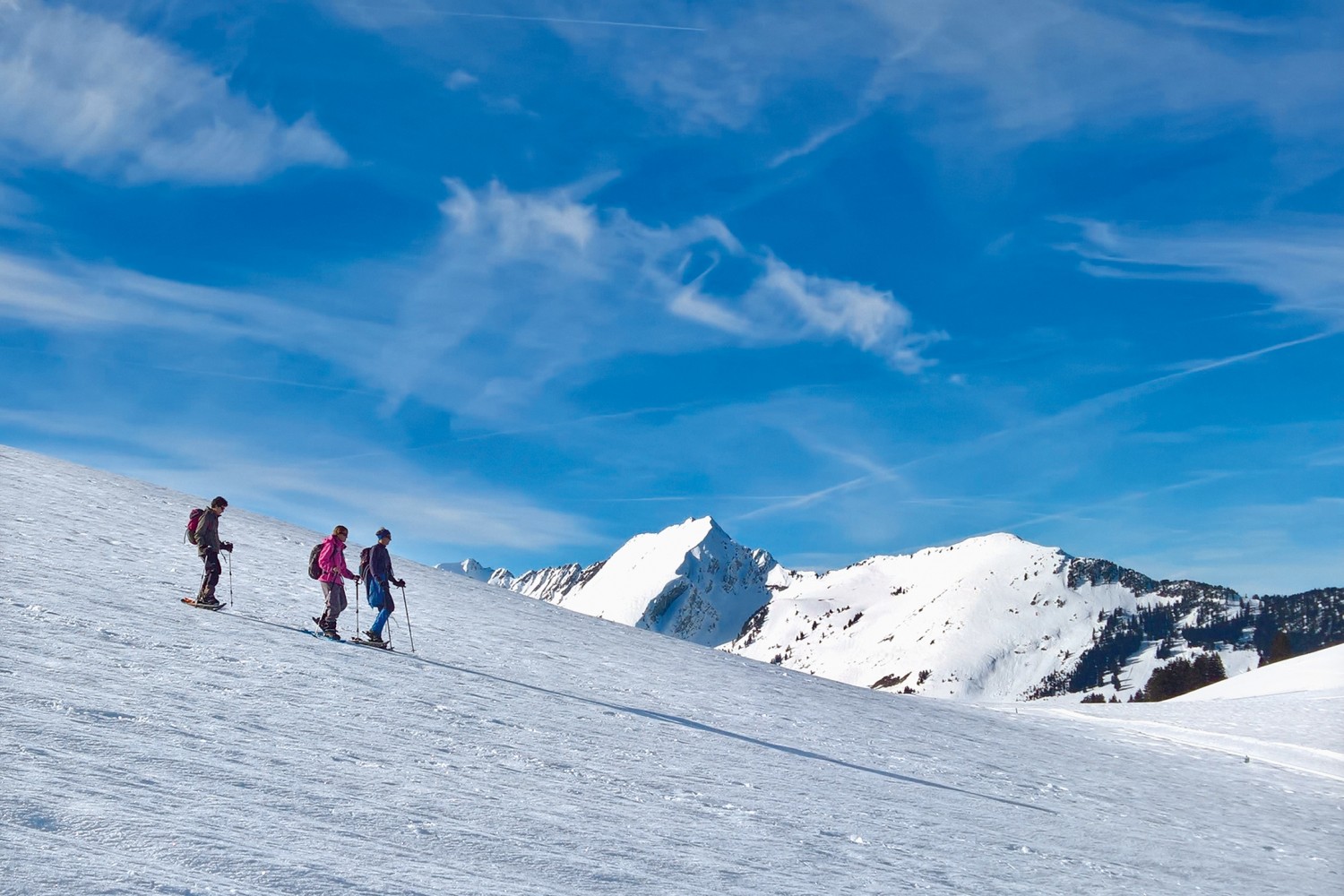Descente vers l’alpage Les Brenlaires. Photos: Andreas Staeger