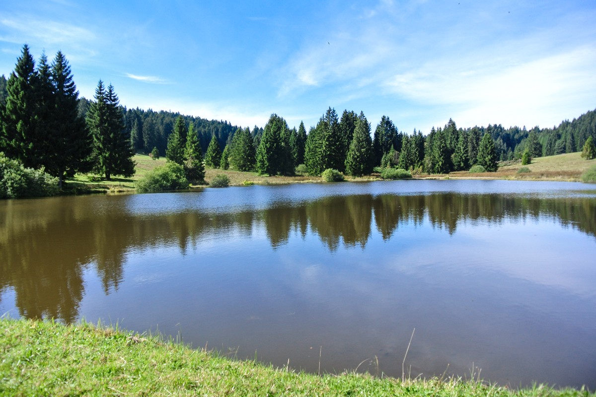 L'étang de Plain-de-Saigne se trouve dans une réserve naturelle. Photo: Thomas Gloor