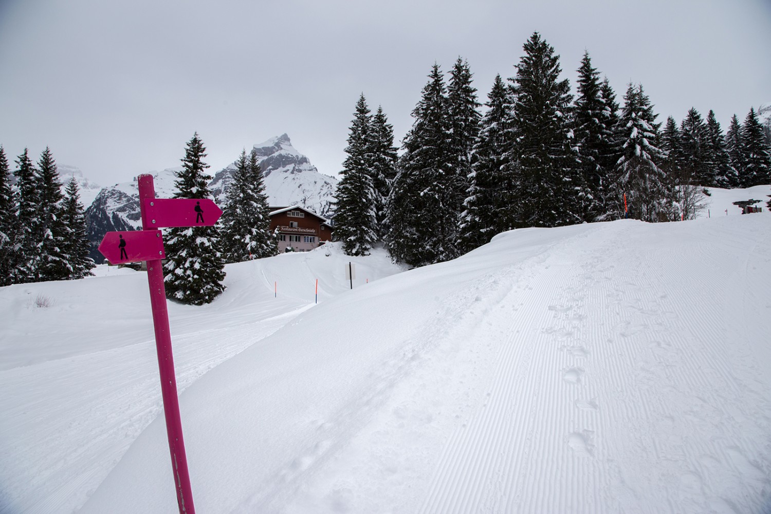 A Gerschnialp, les pistes de ski et les chemins de randonnée d'hiver se côtoient. Photos: Markus Ruff