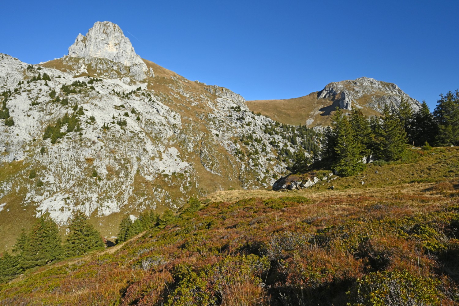 Le paysage de Taney est marqué par des pics rocheux blancs et acérés. Photo: natur-welten.ch