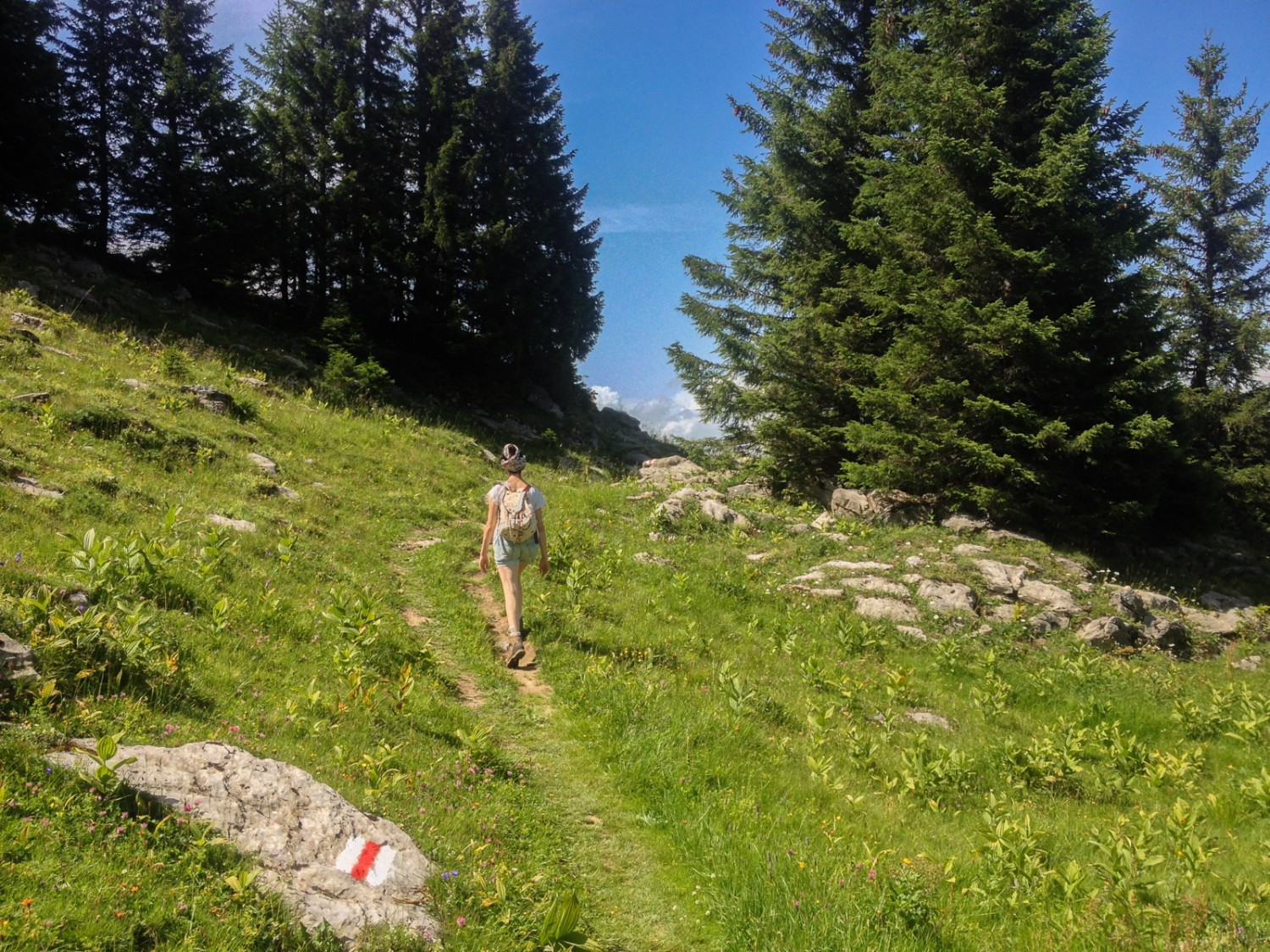 De l’Alp Sellamatt au Selun en traversant la forêt. Photo: Claudia Peter
