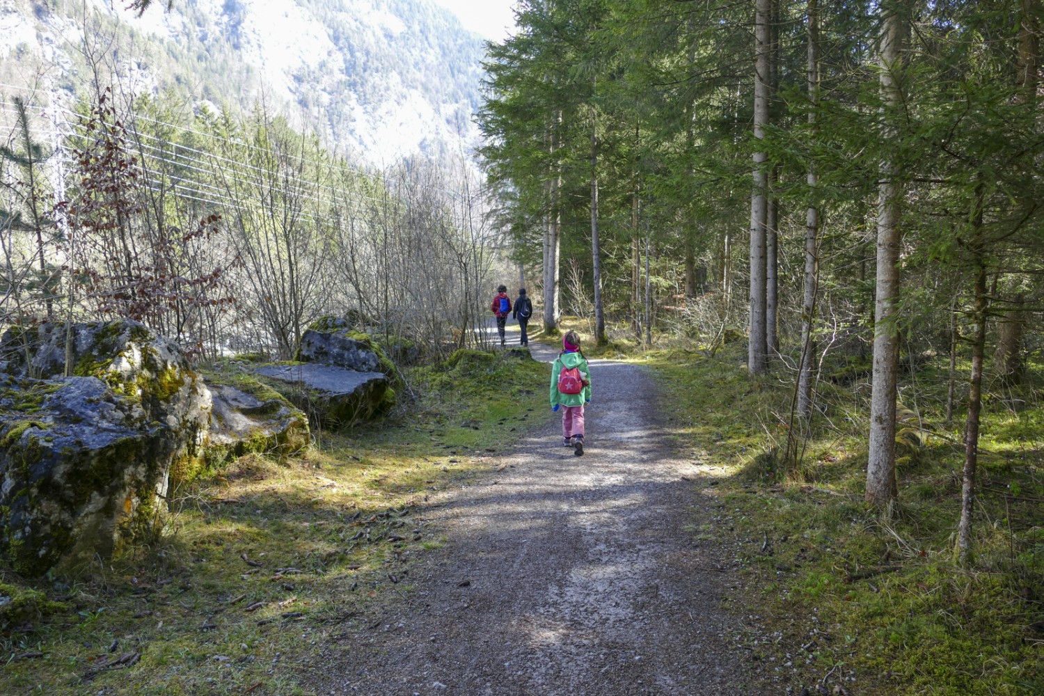 Un parcours plein de charme: des pierres couvertes de mousse bordent le chemin. Photo: Kim Bütikofer