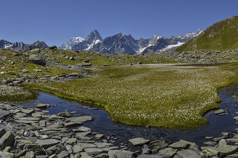 Les Lacs de Fenêtre, que l’on atteint au mieux par le Grand Saint-Bernard, dévoilent le caractère rude et calme du val Ferret. Photo: Daniel Fuchs