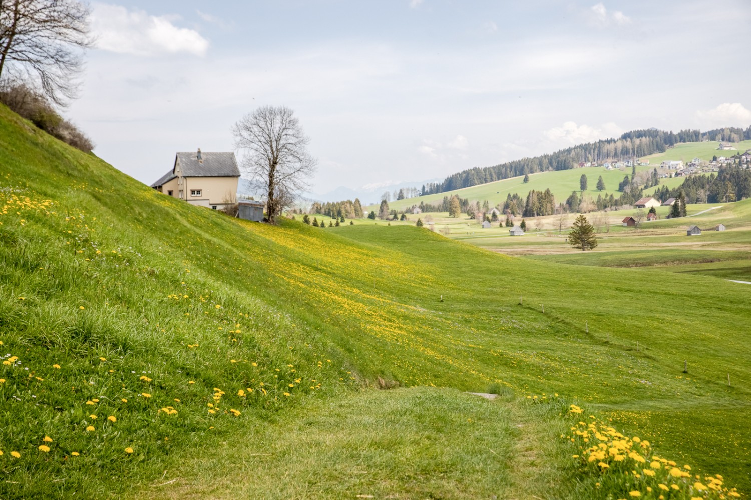 En chemin près de Gontenbad, avec vue sur Kau. Photo: appenzell.ch