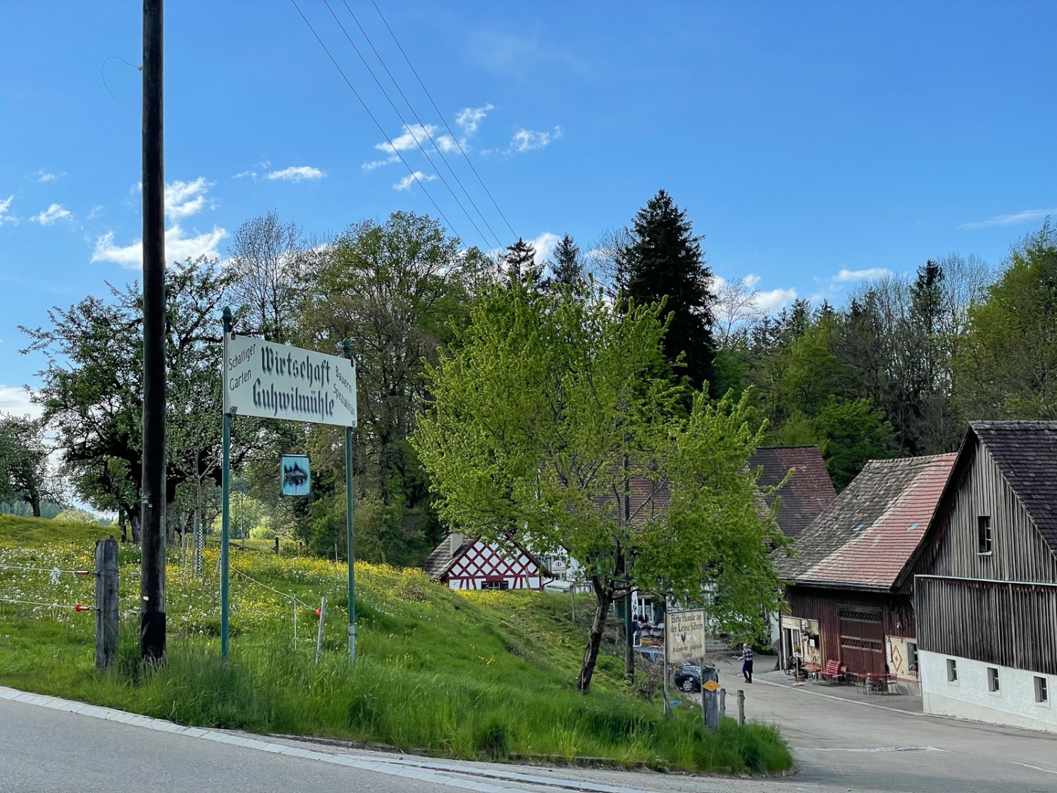 Après l’auberge Guhwilmühle, le dernier tronçon traverse les gorges romantiques de Farenbach. Photo: Vera In-Albon