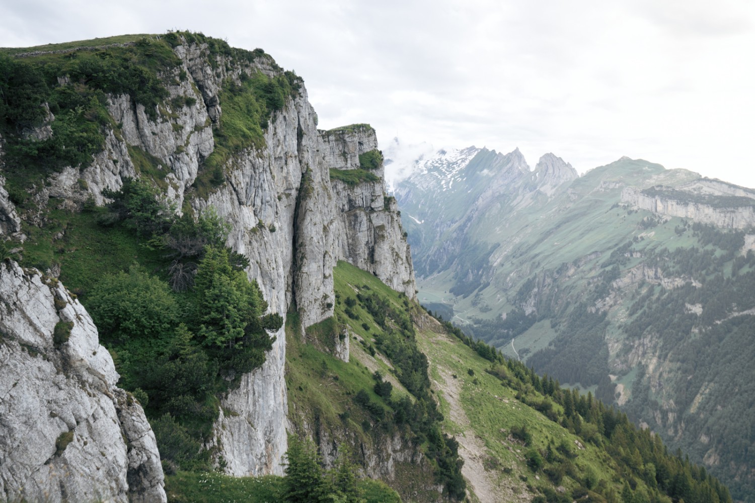 Vue lors de la montée vers Zahme Gocht, en direction de Säntis. Photo: Jon Guler