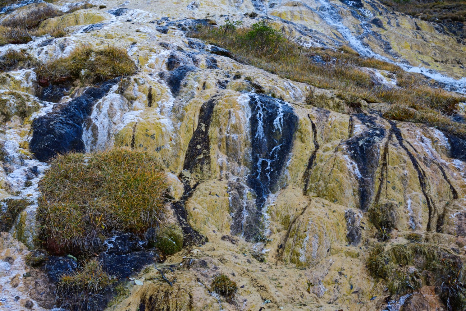 Les lichens et les mousses créent des motifs sur le calcaire jaune. Photo: natur-welten.ch