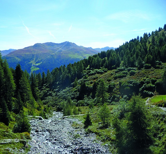 Die wilde Lochalp und in der Ferne das Jakobshorn.